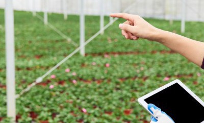 金沙(8087-js认证)娱场城-Officialwebsite