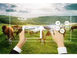 金沙(8087-js认证)娱场城-Officialwebsite