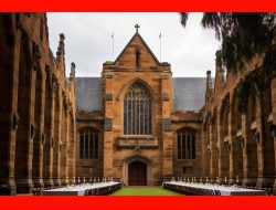 金沙(8087-js认证)娱场城-Officialwebsite