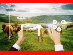 金沙(8087-js认证)娱场城-Officialwebsite