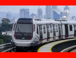 金沙(8087-js认证)娱场城-Officialwebsite